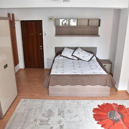 Apartament Frunzei Sibiu Esterno foto